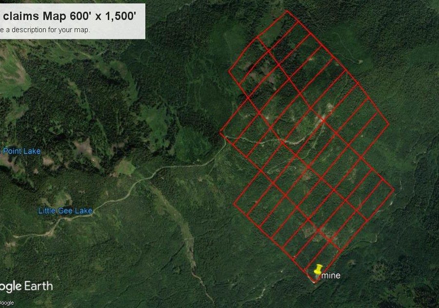 Aerial survey image with the claim block drawn over it as a red grid of rectangular claims on forested terrain. Point Lake and Little Gee Lake sit to the west, an access road runs between them, and a marker labeled mine is pinned at the southern corner of the grid.